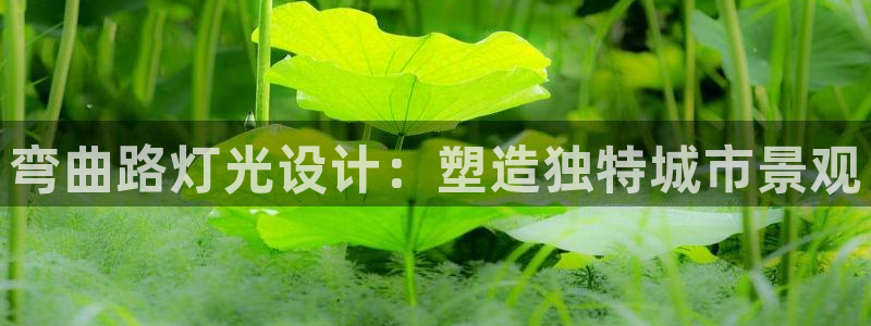弯曲路灯光设计：塑造独特城市景观