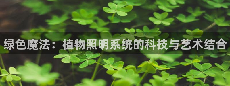 绿色魔法：植物照明系统的科技与艺术结合