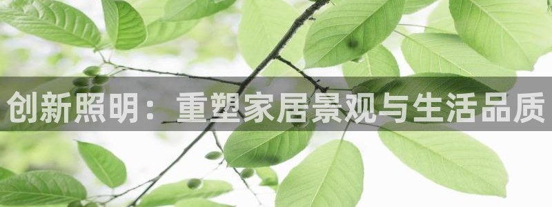 创新照明：重塑家居景观与生活品质