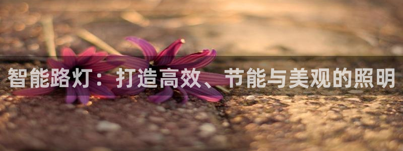 智能路灯：打造高效、节能与美观的照明