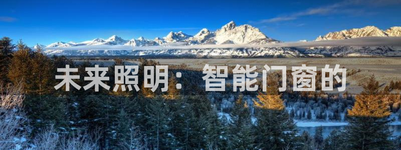 未来照明：智能门窗的