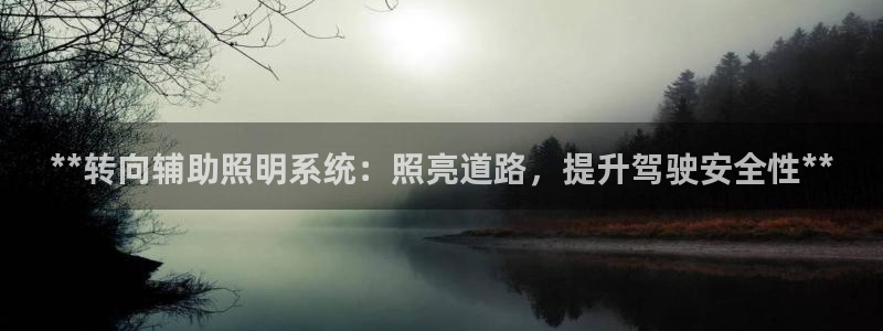 **转向辅助照明系统：照亮道路，提升驾驶安全性**
