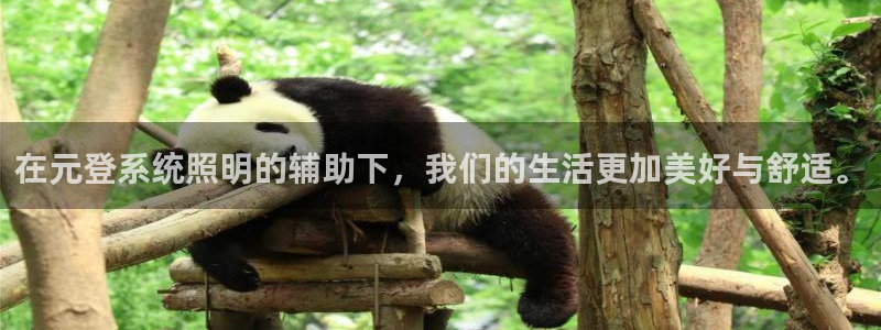 在元登系统照明的辅助下，我们的生活更加美好与舒适。