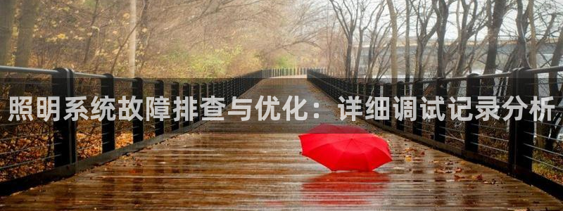 照明系统故障排查与优化：详细调试记录分析