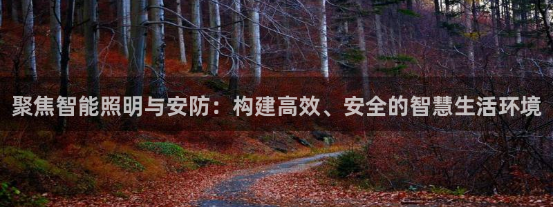 聚焦智能照明与安防：构建高效、安全的智慧生活环境