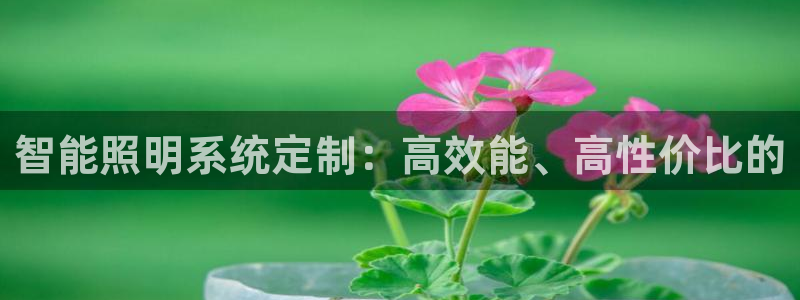 智能照明系统定制：高效能、高性价比的
