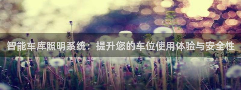 智能车库照明系统：提升您的车位使用体验与安全性