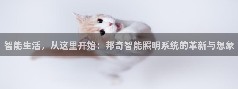 智能生活，从这里开始：邦奇智能照明系统的