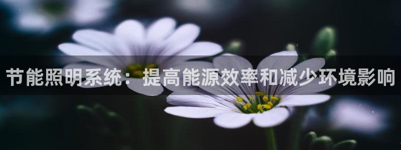 节能照明系统：提高能源效率和减少环境影响