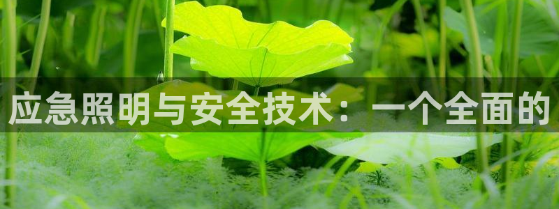 应急照明与安全技术：一个全面的