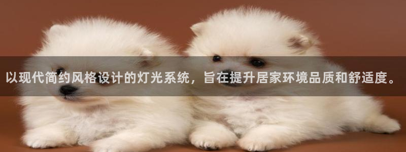 以现代简约风格设计的灯光系统，旨在提升居家环境品质和舒适度。