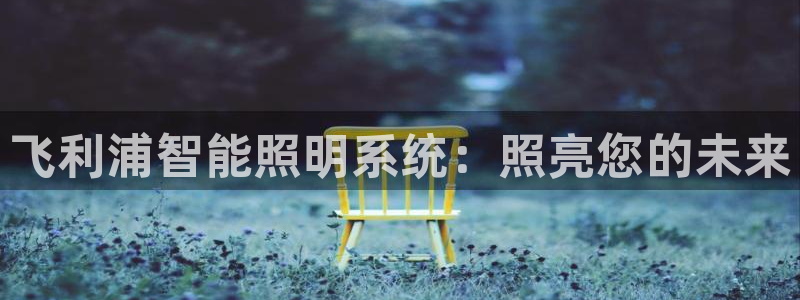 飞利浦智能照明系统：照亮您的未来