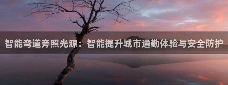 智能弯道旁照光源：智能提升城市通勤体验与安全防护