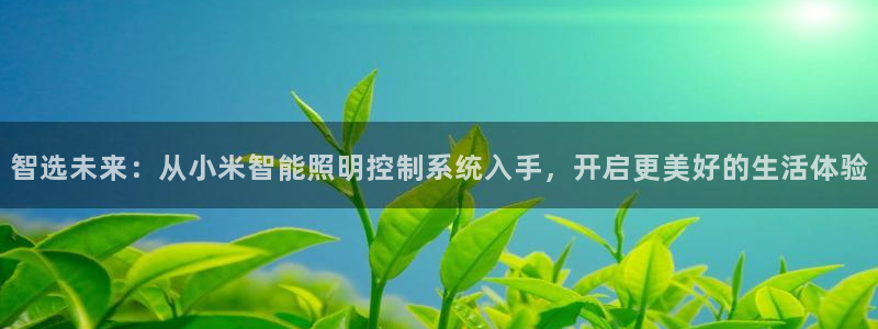 智选未来：从小米智能照明控制系统入手，开启更美好的生活体验