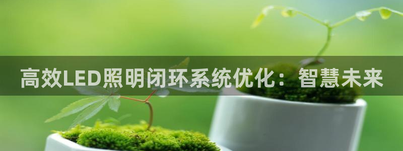 高效LED照明闭环系统优化：智慧未来