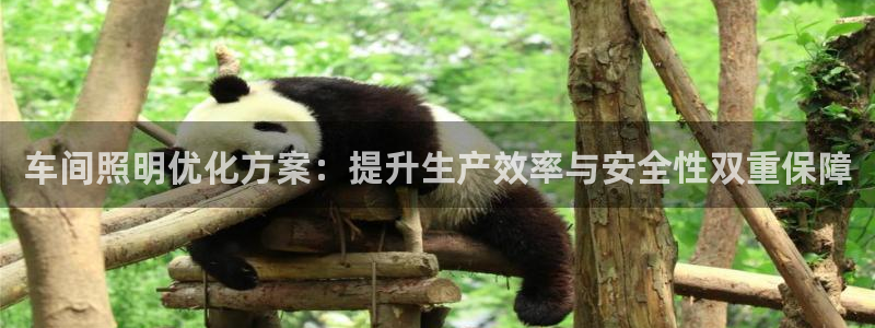 车间照明优化方案：提升生产效率与安全性双